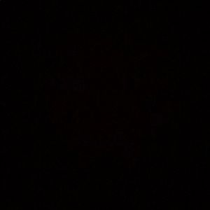 Meet your Posher, Sadie